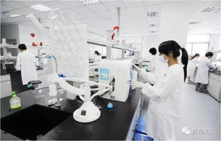 西海岸現代農業項目集中發力，52億元投資引領產業升級